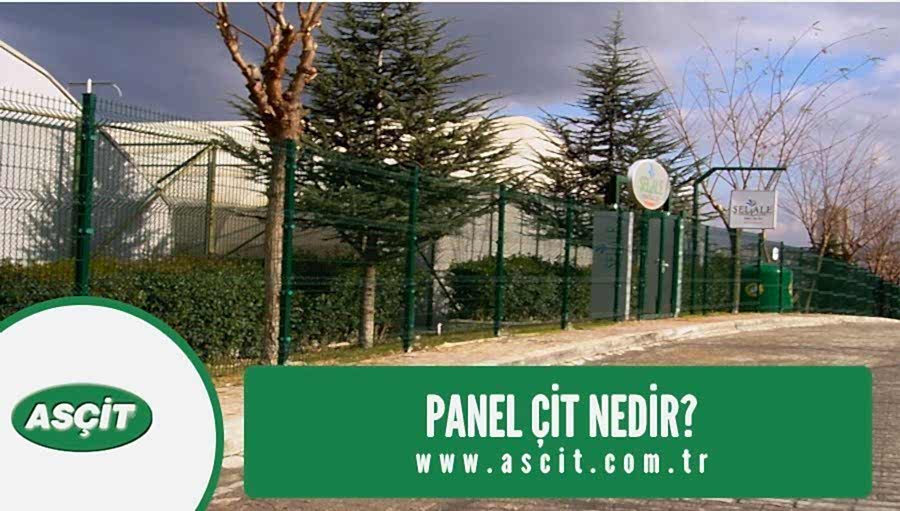 panel-cit-nedir