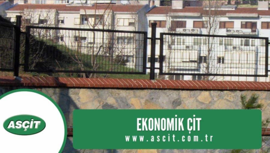 ekonomik-cit