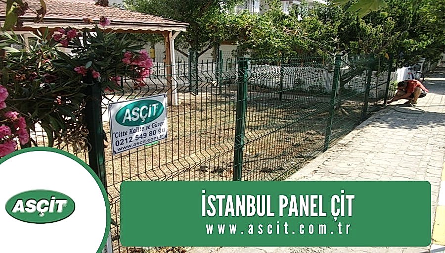 istanbul-panel-cit