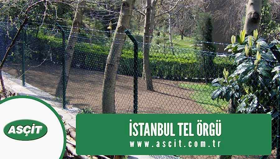 istanbul-tel-orgu